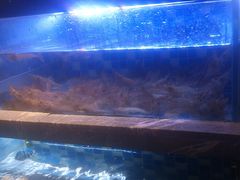 -奢谷·海鲜自助(南海万科店)