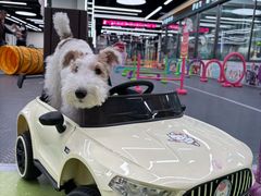 -全心全意动物诊疗中心医院(北苑店)