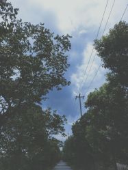 -凡碧诗毛孔收细