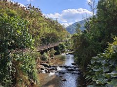 -正宗杨记普洱酸醋米线(总店)