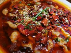 -酒阳蒸经小酒馆(解放碑店)