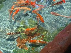 景点-常州海昌海洋探索馆