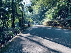 -广州市帽峰山景区