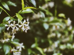 -黔味东南酸汤牛肉火锅(太平路一店)