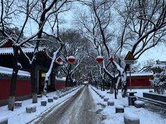 -北京国子监胡同