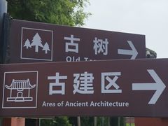 -药王庙(安国市)