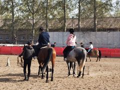 -北京群众马术培训基地