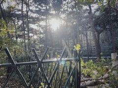 -红螺寺