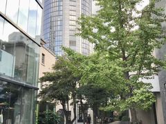 -徐家汇源景区-衡山坊
