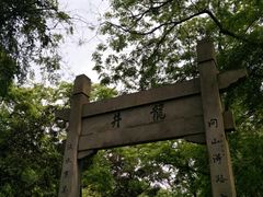 -龙井村