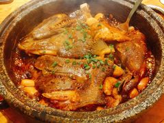 砂锅蝶鱼头-新海渔港·胶东海鲜家常菜·家宴(奥体中心店)