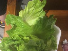 -小媳妇重庆火锅(海莲路店)