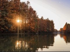 -上海海湾国家森林公园