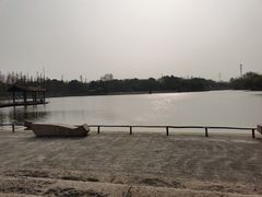 -圩墩遗址公园