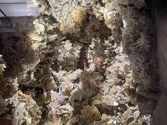 -湖南省地质博物馆