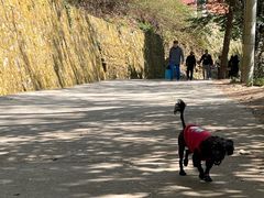 -苍山感通索道