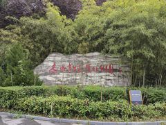 -木塔寺遗址生态公园