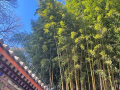 -潭柘寺景区