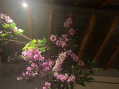 -扬派·扬州搓背馆(运河旗舰店)
