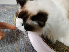 -零纪元VR体验馆·桌游(黄浦店)