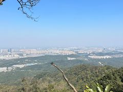 -紫金山山顶公园