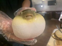 -肆月河豚·新淮扬(金融街店)