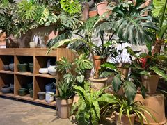 -自由生长植物工作室(深港花卉中心店)