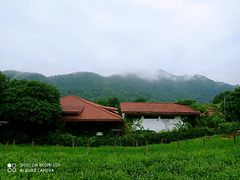 -中国茶叶博物馆(双峰馆区)