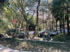 -东明山森林公园