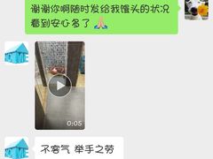 -宠物之家Pets Home 宠物寄养酒店