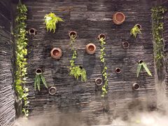 -一只烧鸡公(解放碑店)