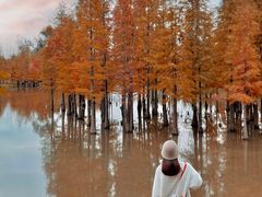 -白鹭湾湿地公园