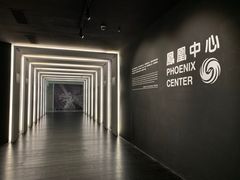 -凤凰中心