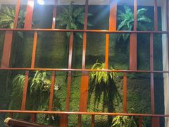 -野渡坡·极致湘菜·庭院餐厅(汉阳店)