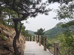 -青岛大珠山景区