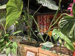 -懒人盐府人家(航天桥店)