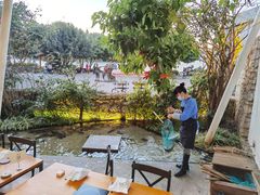 -大理老字号·舟渔的鱼野生菌海景餐厅(双廊店)