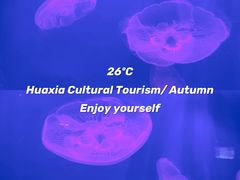 -华夏文旅海洋公园