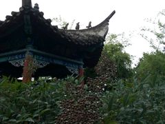 -内乡县衙博物馆
