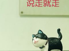 -芭比堂动物医院广州顽皮分院