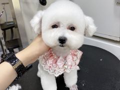 -PETKIT小佩宠物(昭化店)