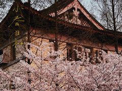 -鸡鸣寺