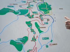 -飞凤山奥体公园