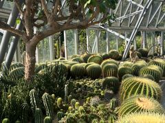 -深圳仙湖植物园