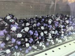 -玩具反斗城(海港城店)