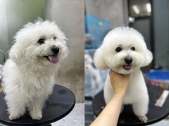 -PETKIT 小佩宠物·低压洗护·美容·寄养(安远店)