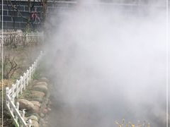 -玫瑰庄园·自助烧烤·烤全羊·团建拓展(龙泉山店)