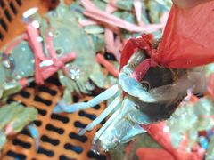 -巽寮印象美食部落餐厅·海鲜·地方特色菜(惠州体验店)