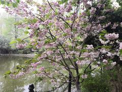 -鲁迅公园-垂钓中心