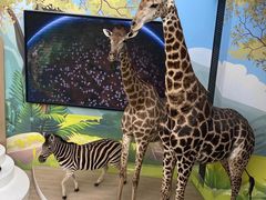 -陕西自然博物馆